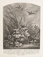 KG 01069
          <br/>
          Vos valt twee wilde ganzen aan
          <br/>
          <em>Ridinger, Martin Elias (ca. 1730-1780)</em>